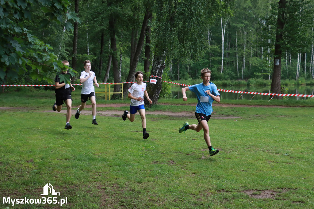 Fotorelacja I: 46. Międzynarodowy Bieg V-ciu Stawów