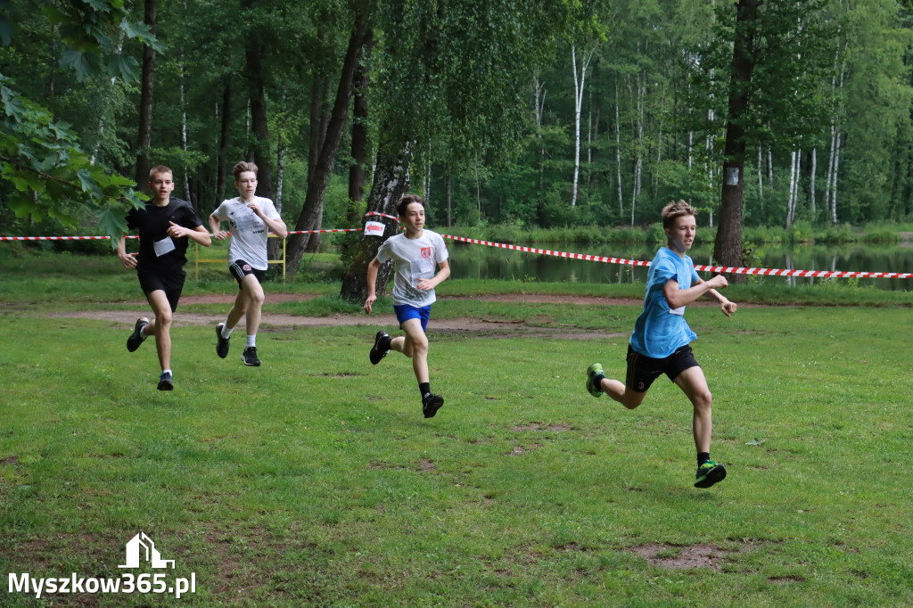Fotorelacja I: 46. Międzynarodowy Bieg V-ciu Stawów