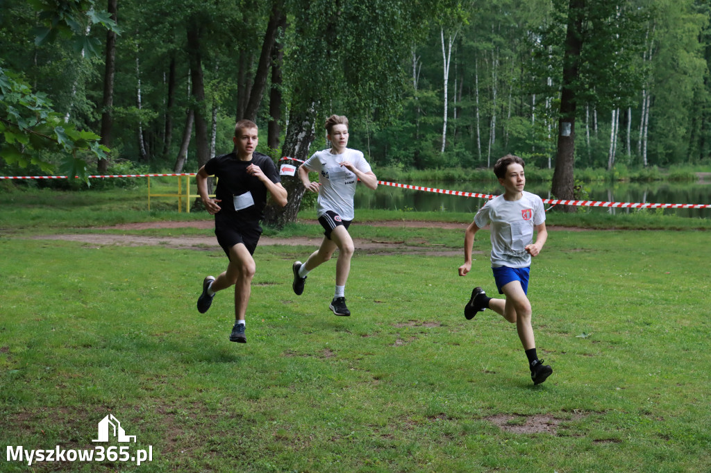 Fotorelacja I: 46. Międzynarodowy Bieg V-ciu Stawów