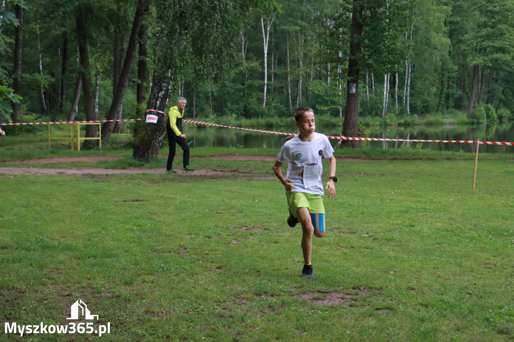 Fotorelacja I: 46. Międzynarodowy Bieg V-ciu Stawów