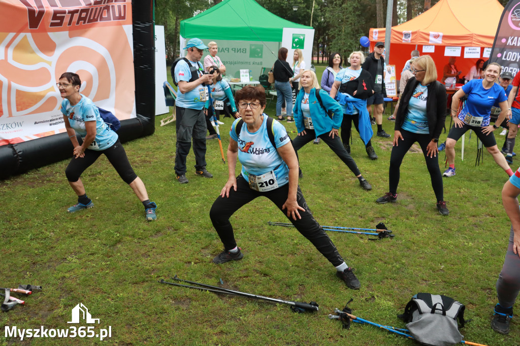 Fotorelacja II: 46. Międzynarodowy Bieg V-ciu Stawów