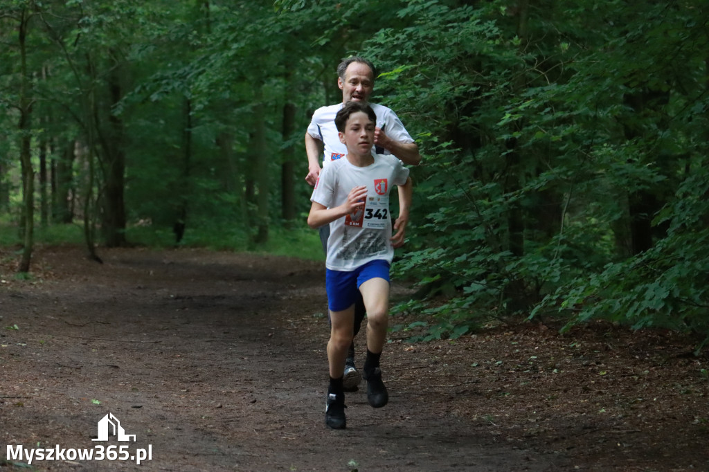 Fotorelacja II: 46. Międzynarodowy Bieg V-ciu Stawów