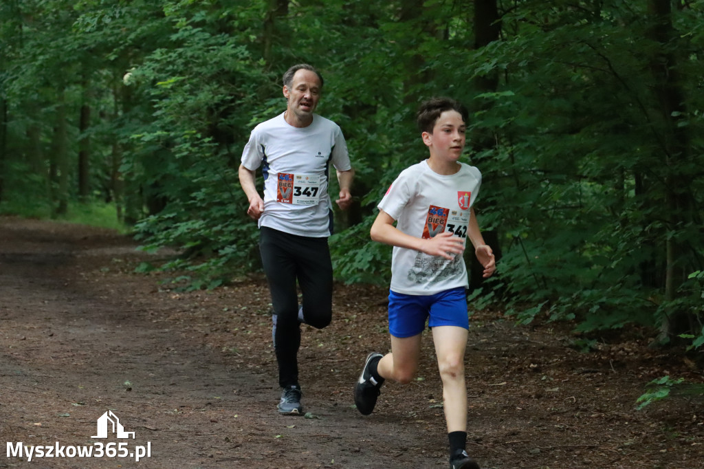 Fotorelacja II: 46. Międzynarodowy Bieg V-ciu Stawów