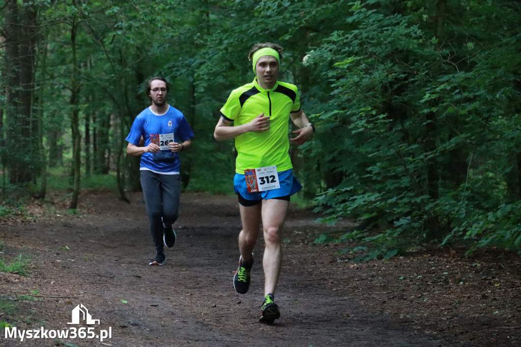 Fotorelacja II: 46. Międzynarodowy Bieg V-ciu Stawów