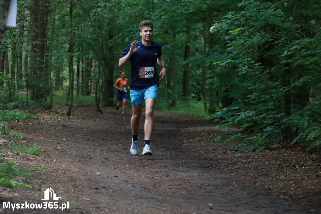 Fotorelacja II: 46. Międzynarodowy Bieg V-ciu Stawów