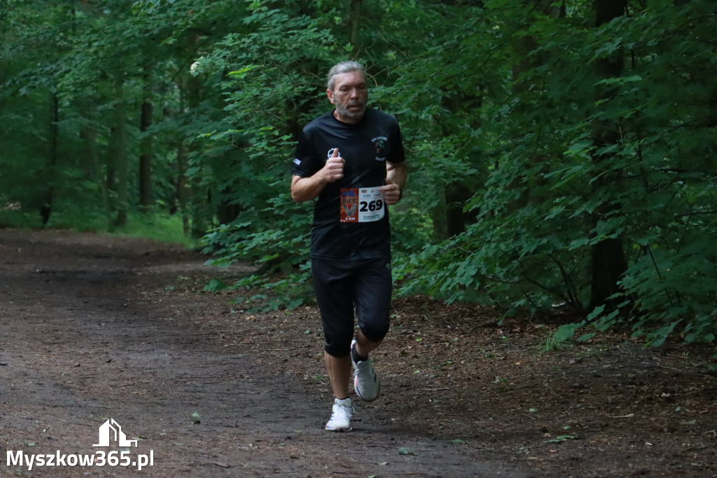 Fotorelacja II: 46. Międzynarodowy Bieg V-ciu Stawów