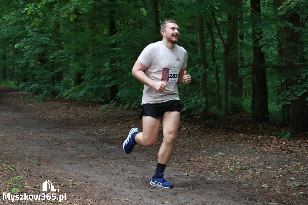 Fotorelacja II: 46. Międzynarodowy Bieg V-ciu Stawów