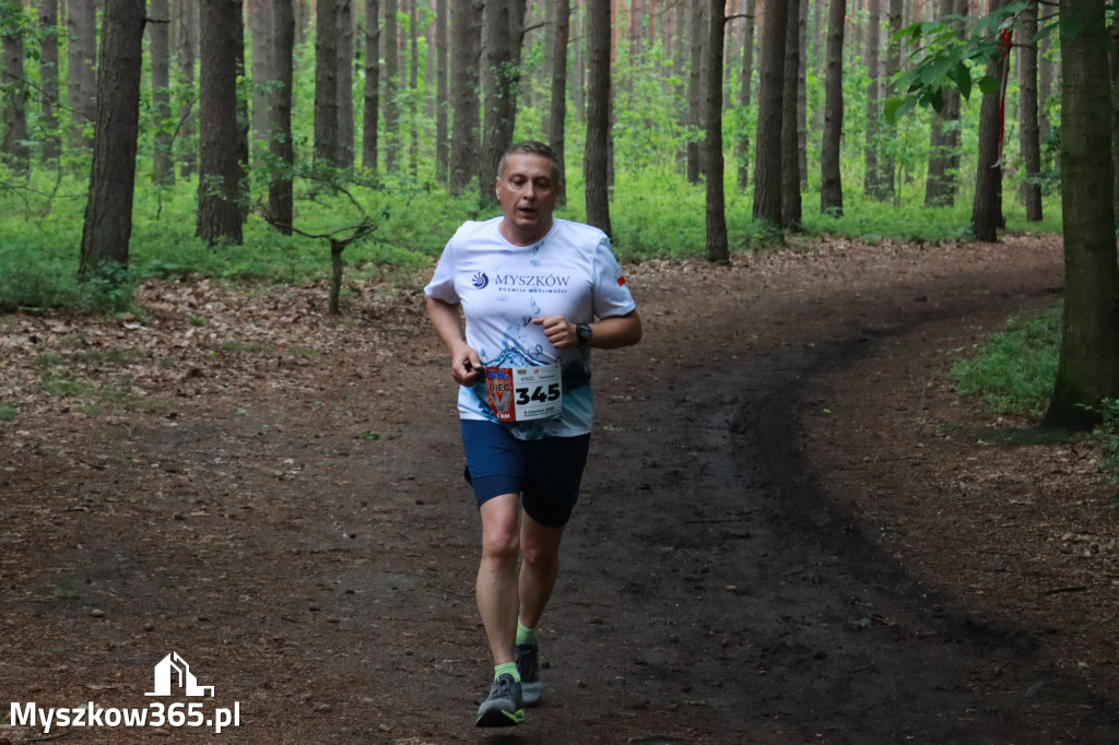 Fotorelacja II: 46. Międzynarodowy Bieg V-ciu Stawów