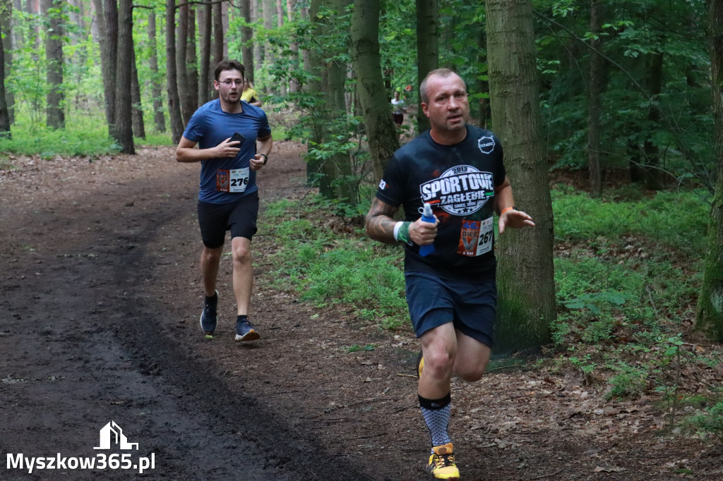 Fotorelacja II: 46. Międzynarodowy Bieg V-ciu Stawów