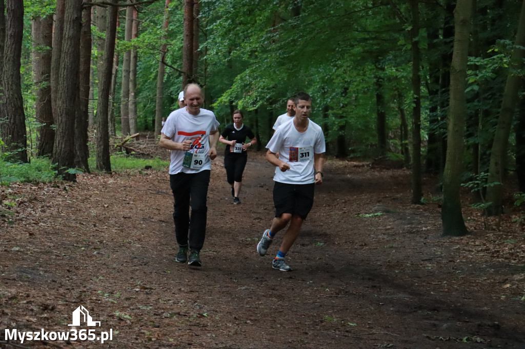 Fotorelacja II: 46. Międzynarodowy Bieg V-ciu Stawów