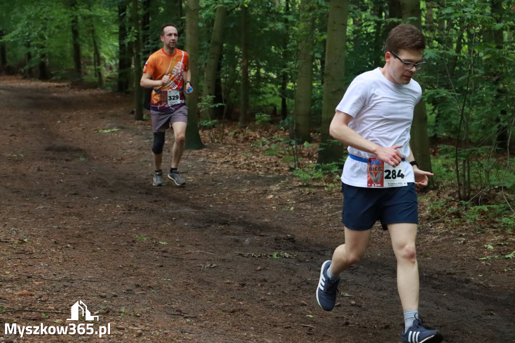 Fotorelacja II: 46. Międzynarodowy Bieg V-ciu Stawów