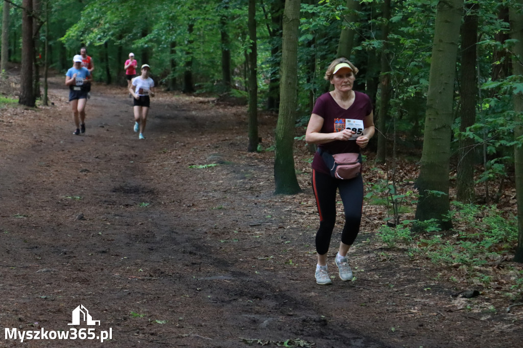 Fotorelacja II: 46. Międzynarodowy Bieg V-ciu Stawów