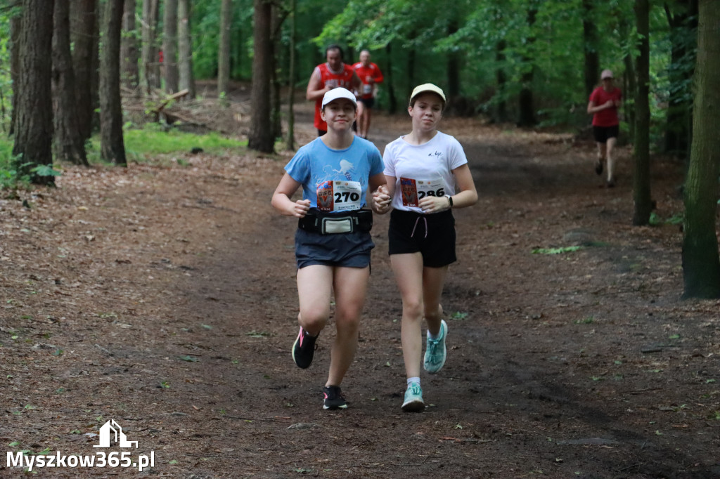Fotorelacja II: 46. Międzynarodowy Bieg V-ciu Stawów