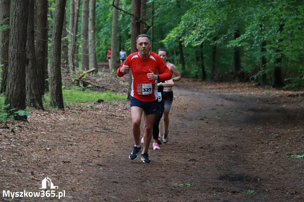 Fotorelacja II: 46. Międzynarodowy Bieg V-ciu Stawów