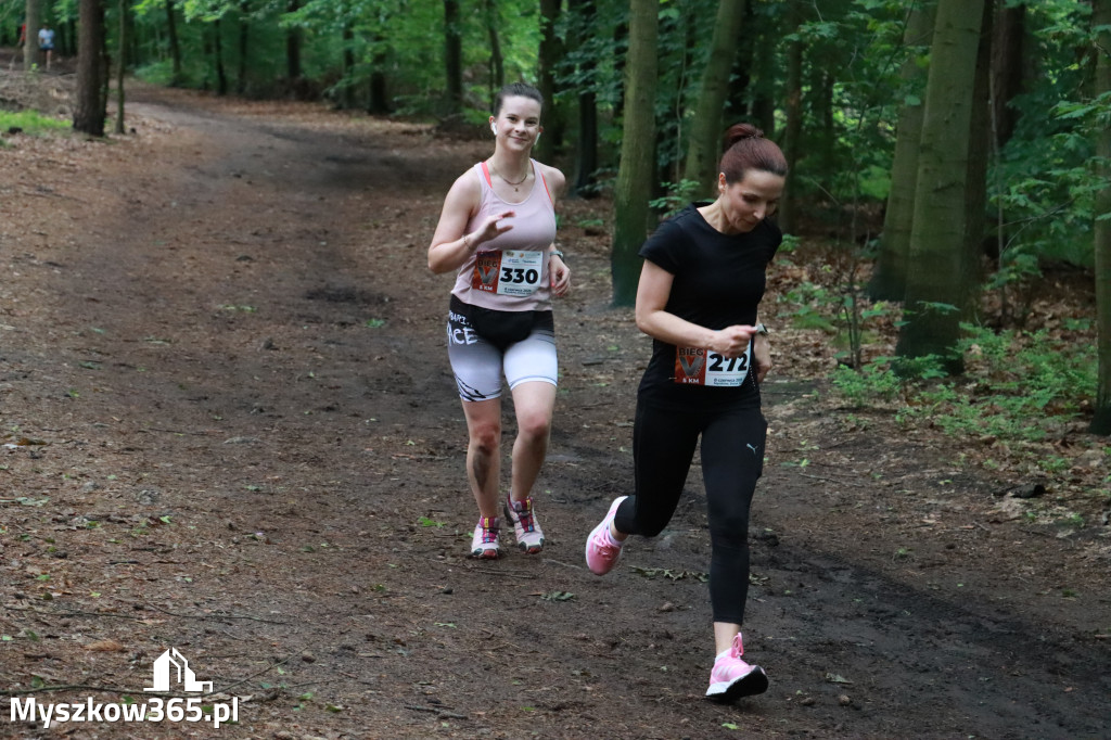 Fotorelacja II: 46. Międzynarodowy Bieg V-ciu Stawów