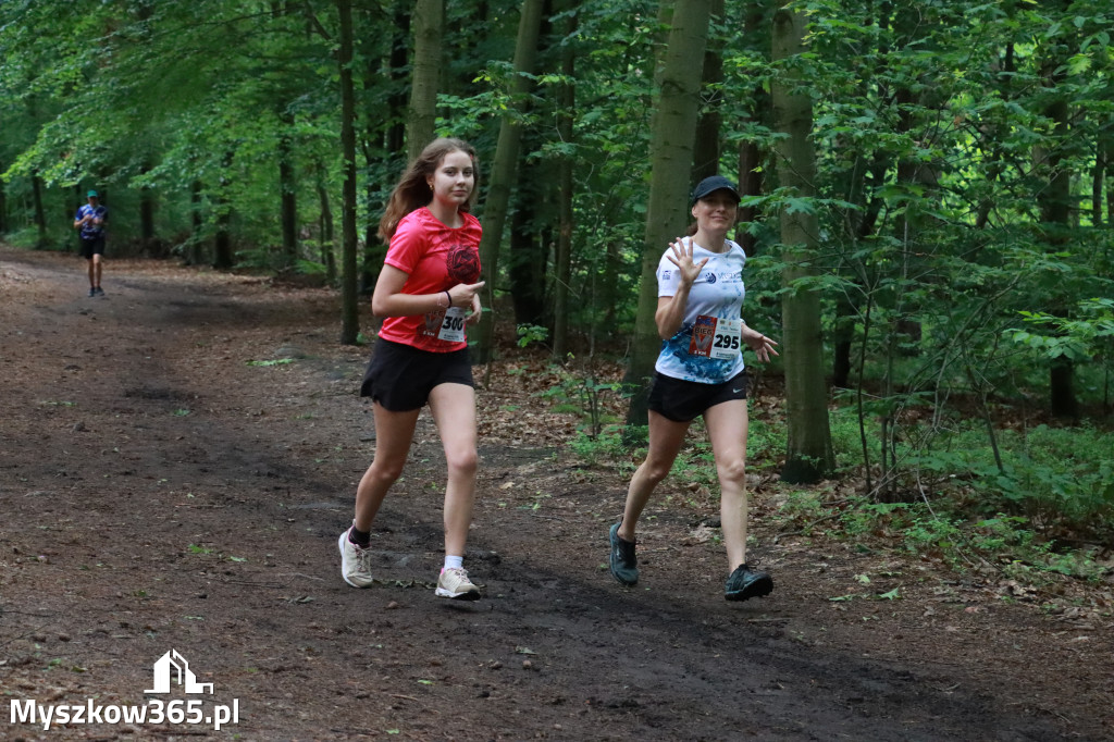 Fotorelacja II: 46. Międzynarodowy Bieg V-ciu Stawów