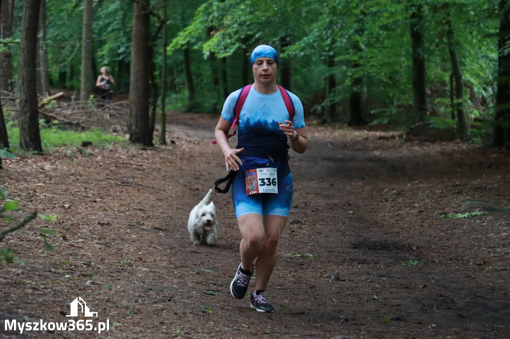 Fotorelacja II: 46. Międzynarodowy Bieg V-ciu Stawów