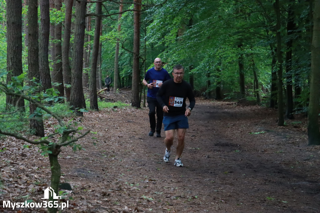 Fotorelacja II: 46. Międzynarodowy Bieg V-ciu Stawów