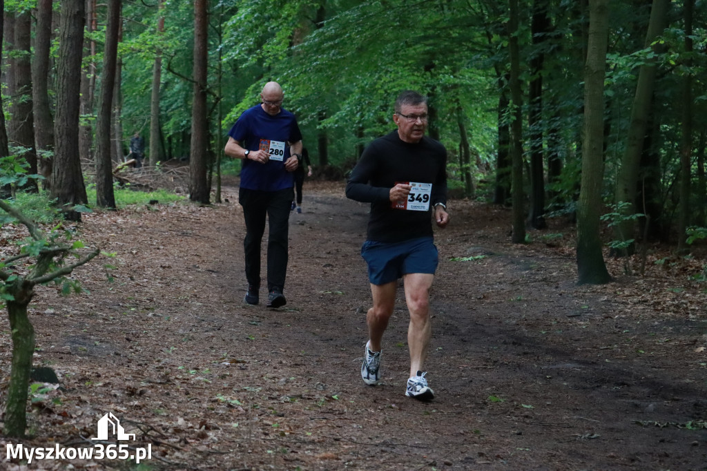 Fotorelacja II: 46. Międzynarodowy Bieg V-ciu Stawów