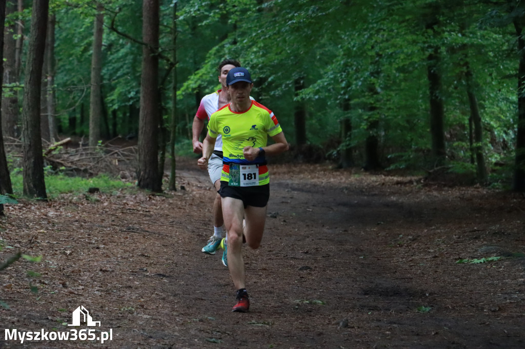 Fotorelacja II: 46. Międzynarodowy Bieg V-ciu Stawów