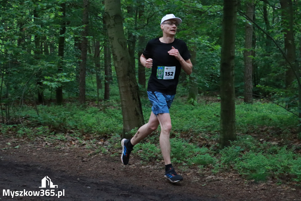 Fotorelacja II: 46. Międzynarodowy Bieg V-ciu Stawów