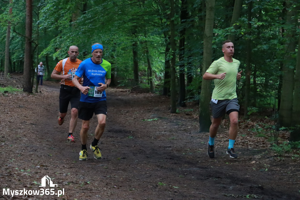 Fotorelacja II: 46. Międzynarodowy Bieg V-ciu Stawów