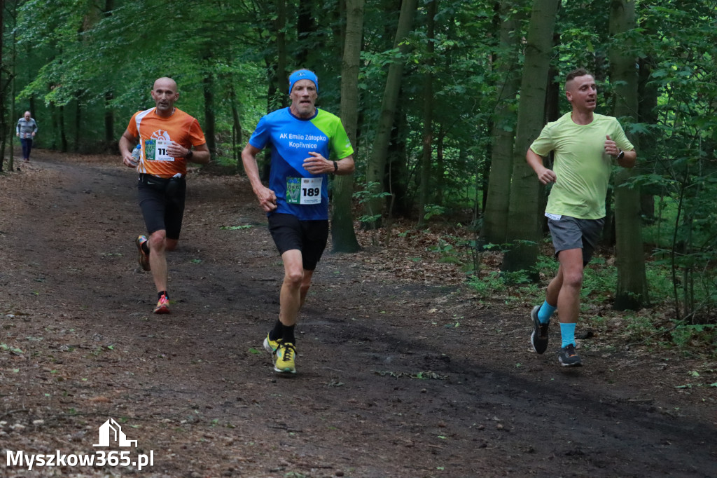 Fotorelacja II: 46. Międzynarodowy Bieg V-ciu Stawów