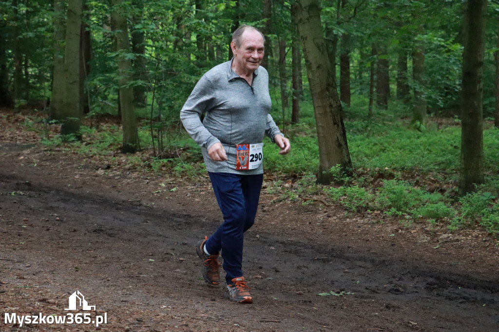 Fotorelacja II: 46. Międzynarodowy Bieg V-ciu Stawów