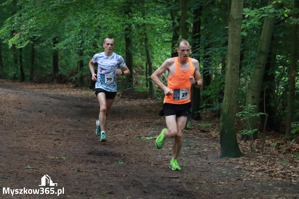Fotorelacja II: 46. Międzynarodowy Bieg V-ciu Stawów