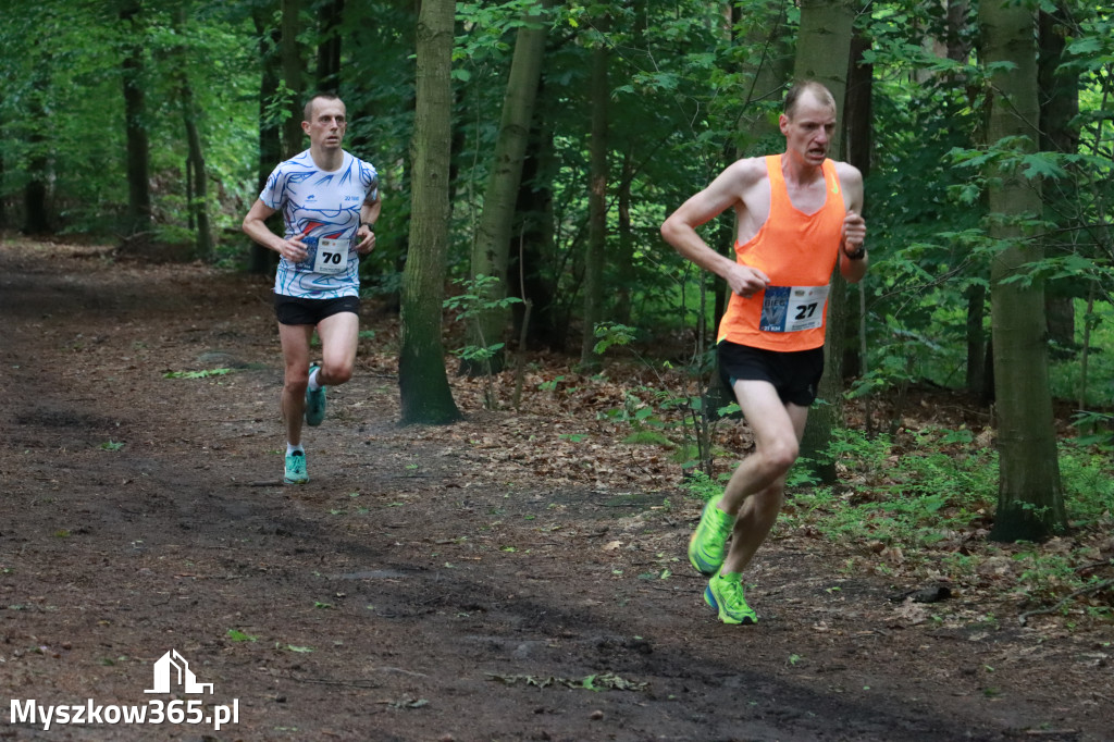 Fotorelacja II: 46. Międzynarodowy Bieg V-ciu Stawów