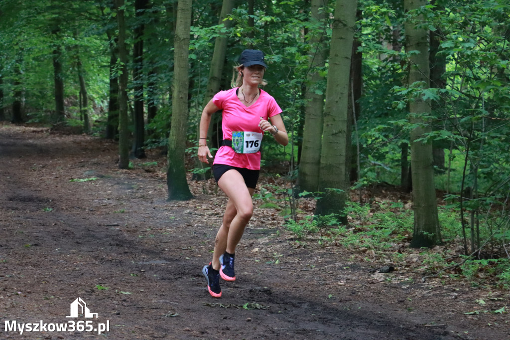 Fotorelacja II: 46. Międzynarodowy Bieg V-ciu Stawów