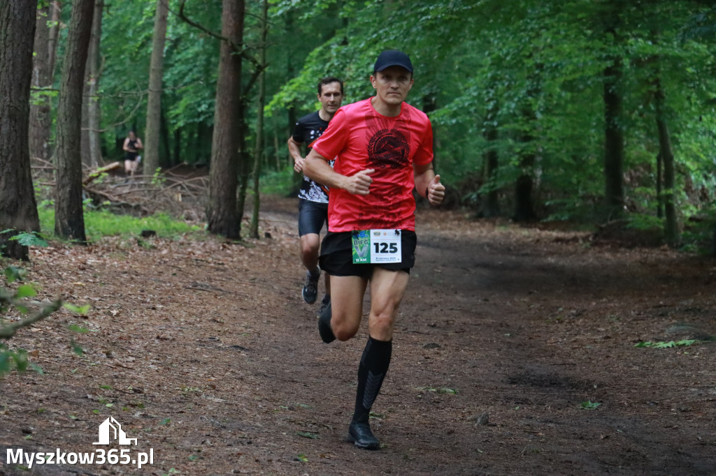 Fotorelacja II: 46. Międzynarodowy Bieg V-ciu Stawów