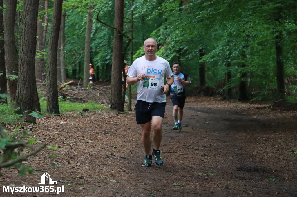 Fotorelacja II: 46. Międzynarodowy Bieg V-ciu Stawów