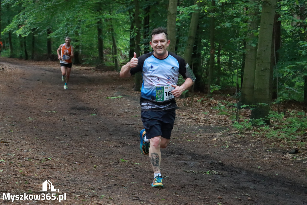 Fotorelacja II: 46. Międzynarodowy Bieg V-ciu Stawów