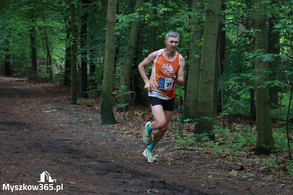 Fotorelacja II: 46. Międzynarodowy Bieg V-ciu Stawów