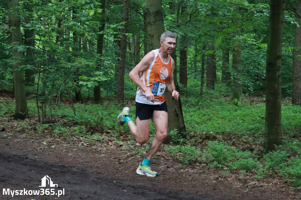 Fotorelacja II: 46. Międzynarodowy Bieg V-ciu Stawów