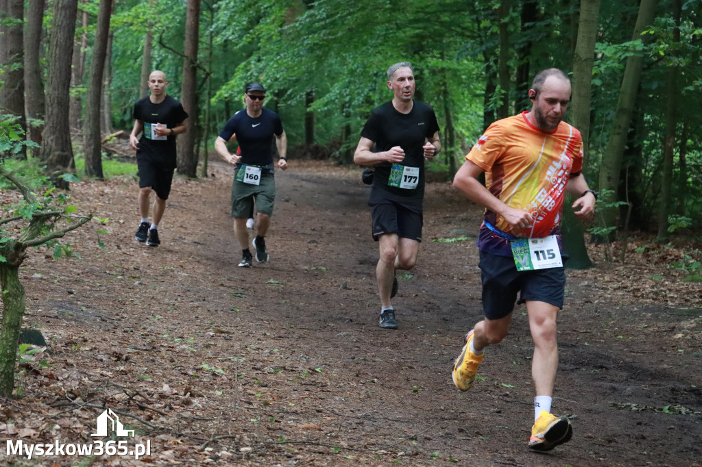 Fotorelacja II: 46. Międzynarodowy Bieg V-ciu Stawów