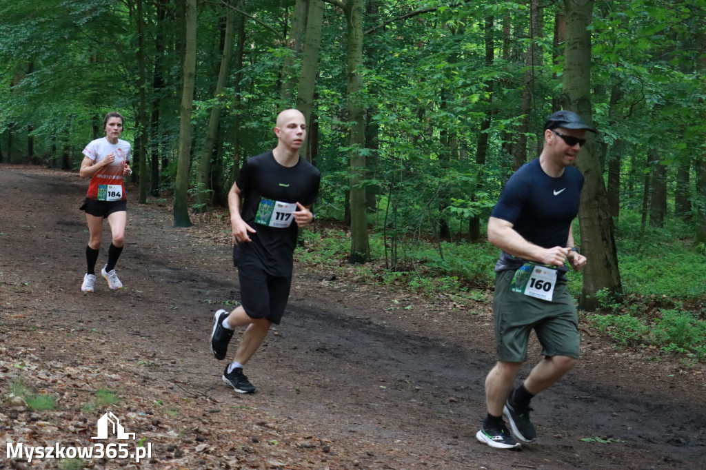 Fotorelacja II: 46. Międzynarodowy Bieg V-ciu Stawów