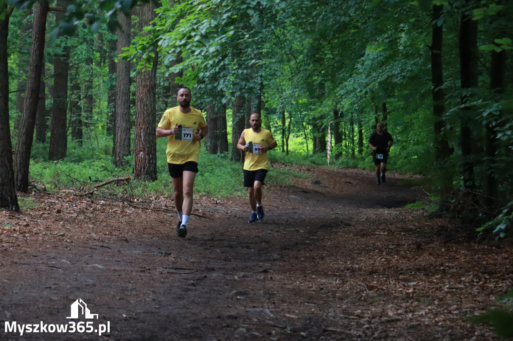 Fotorelacja II: 46. Międzynarodowy Bieg V-ciu Stawów