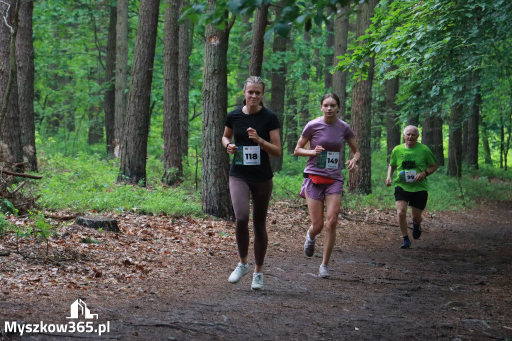 Fotorelacja II: 46. Międzynarodowy Bieg V-ciu Stawów