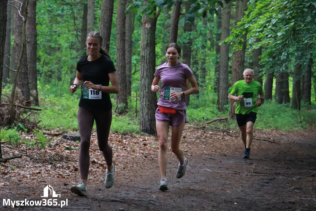 Fotorelacja II: 46. Międzynarodowy Bieg V-ciu Stawów