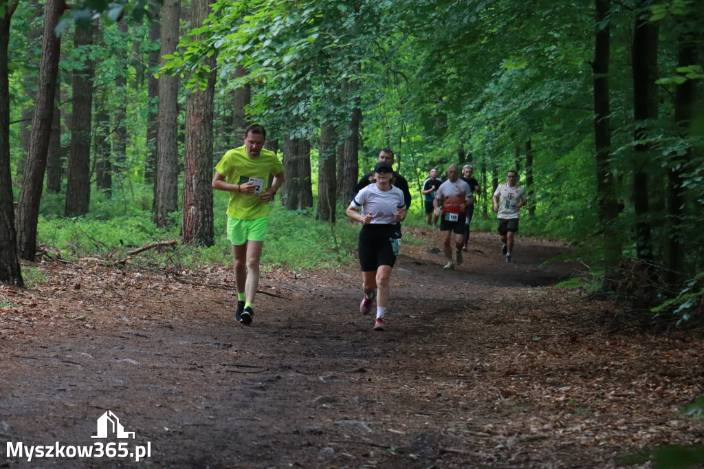 Fotorelacja II: 46. Międzynarodowy Bieg V-ciu Stawów