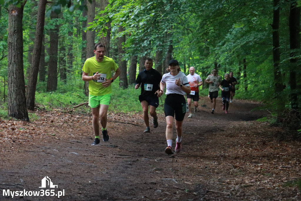 Fotorelacja II: 46. Międzynarodowy Bieg V-ciu Stawów