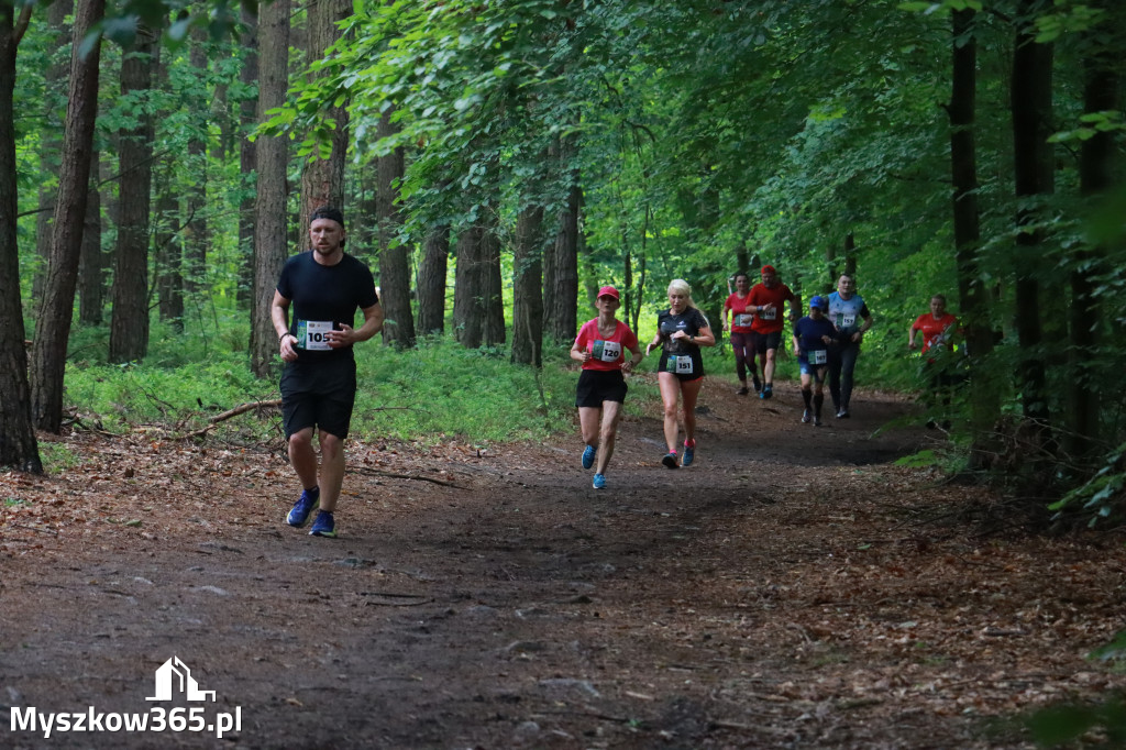 Fotorelacja III: 46. Międzynarodowy Bieg V-ciu Stawów w Myszkowie
