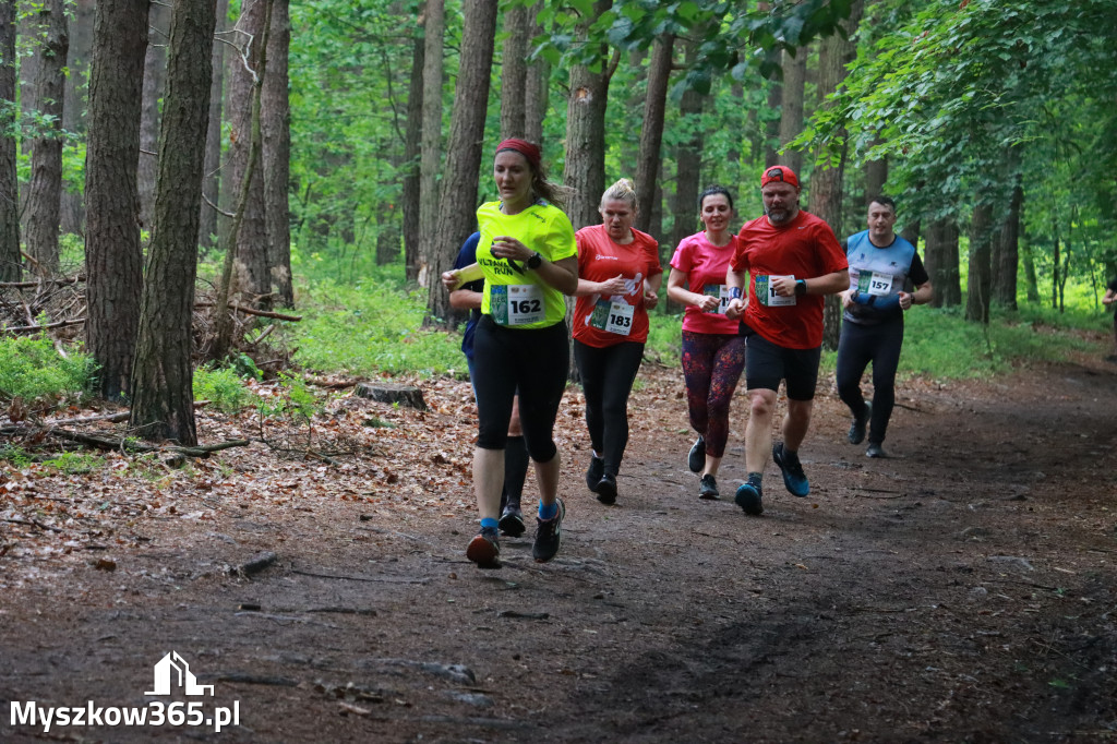 Fotorelacja III: 46. Międzynarodowy Bieg V-ciu Stawów w Myszkowie