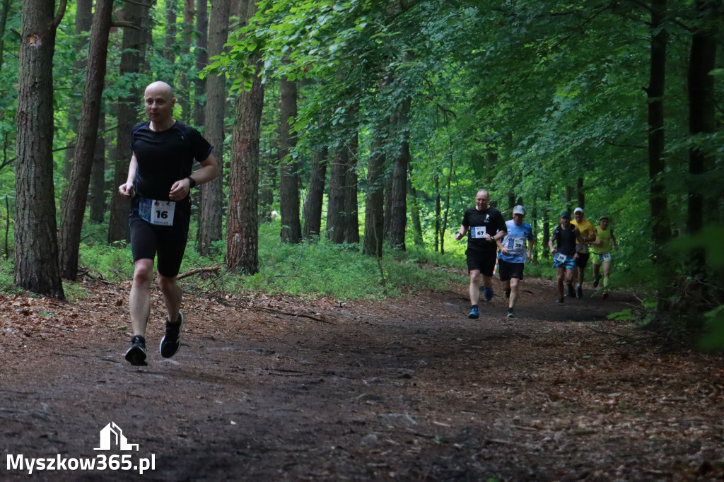 Fotorelacja III: 46. Międzynarodowy Bieg V-ciu Stawów w Myszkowie