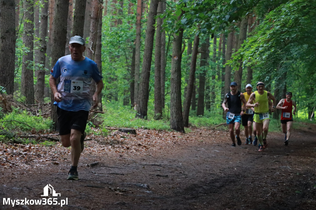 Fotorelacja III: 46. Międzynarodowy Bieg V-ciu Stawów w Myszkowie