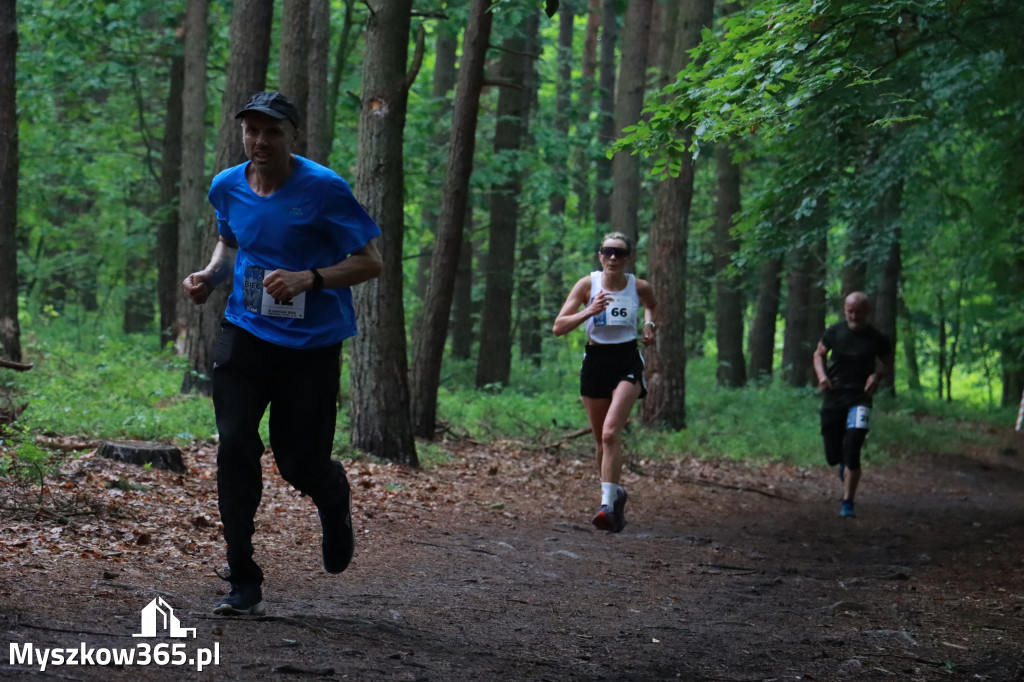 Fotorelacja III: 46. Międzynarodowy Bieg V-ciu Stawów w Myszkowie