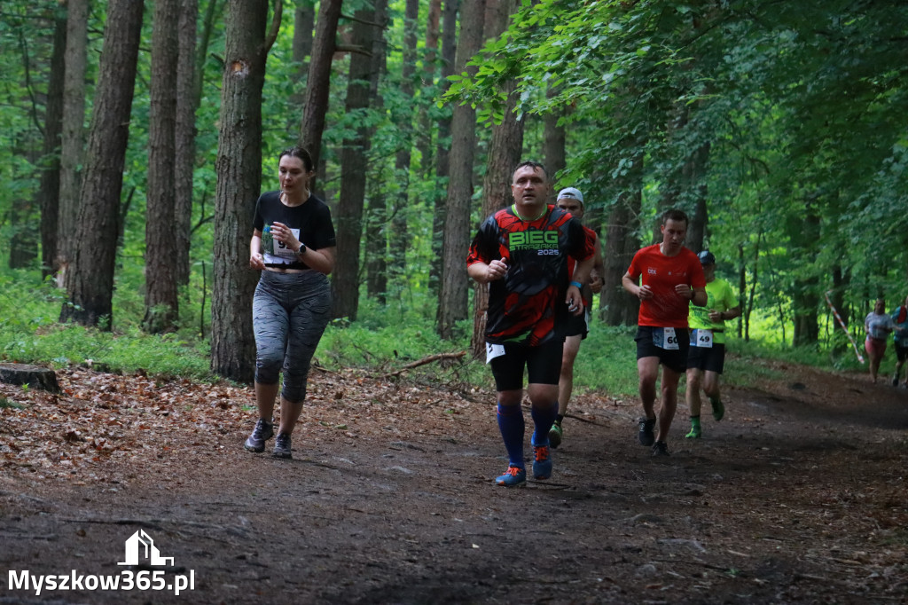 Fotorelacja III: 46. Międzynarodowy Bieg V-ciu Stawów w Myszkowie