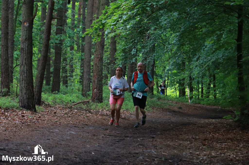 Fotorelacja III: 46. Międzynarodowy Bieg V-ciu Stawów w Myszkowie